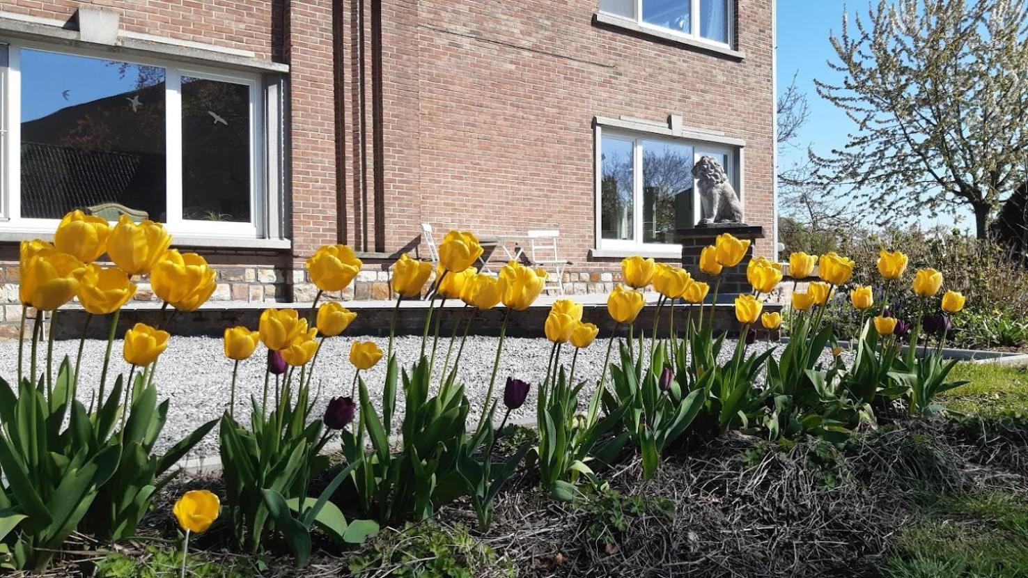 De Tuin Van Agatha Kortessem Екстер'єр фото